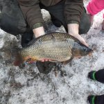 phoca_thumb_m_za kaprem 11 Fotogalerie